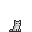 Cat Image